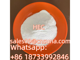 Architectural grade Dry Mixed Mortar Additive HEC Building Chemicals