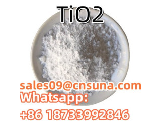TiO2 Powder High Purity CAS Titanium Dioxide price per kg Anatase Rutile