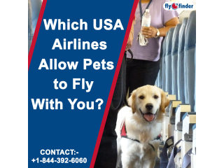 Qatar Airways Pet Policy | FlyOfinder