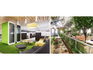 Advantages of Choosing the Best Biophilic Design Service for America From the UK