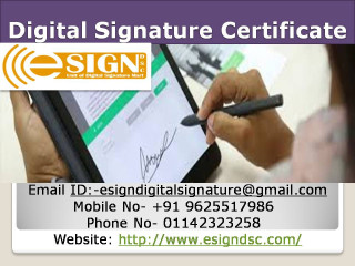 Digital Signature Certificate Service Providers in Delhi