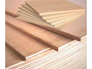 TOP 10 Plywood Suppliers in India