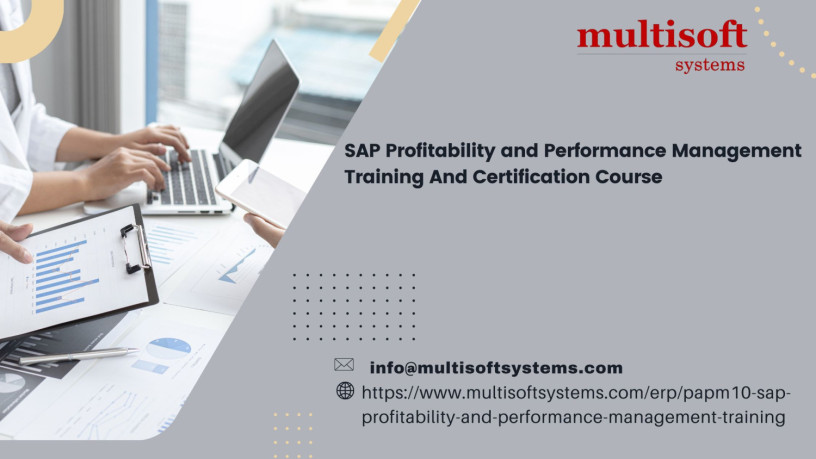 sap-profitability-and-performance-management-papm-online-training-big-0