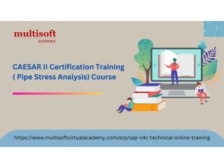 CAESAR II Online Training And Certification Course ( Pipe Stress Analysis)