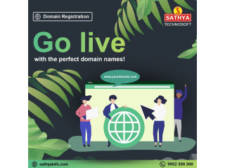 Domain Name Registration in India