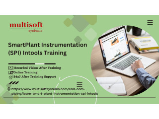 SmartPlant Instrumentation (SPI) Intools Online Training Certification