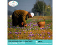 kashmir-premium-tour-package-5-nights-6-days-starts-from-at-48000-pp-small-0