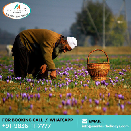 kashmir-premium-tour-package-5-nights-6-days-starts-from-at-48000-pp-big-0
