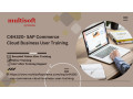 c4h320-sap-commerce-cloud-business-user-training-course-small-0