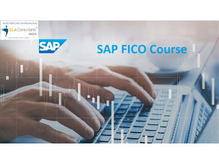 SAP FICO Certification in Delhi with 100% Job at SLA Institute, Accounting, Tally & Finance Certification, Best Offer '23