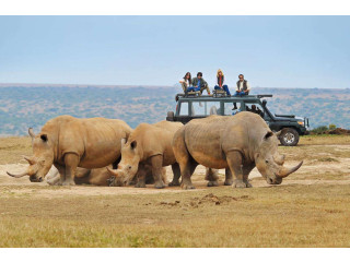 Advantages of Choosing the Best African Safari Tours