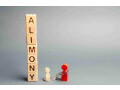 towson-alimony-lawyers-small-0